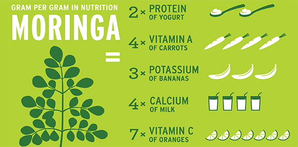 nutrienti moringa