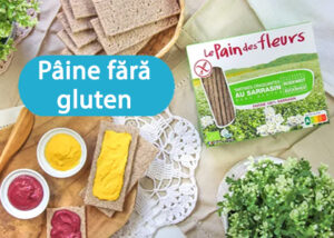 Paine fara gluten